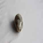 سنگ عقیق تامبلر شده برزیلی طوسی 127 گرمی