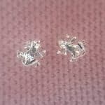 گوشواره میخی تایلندی نقره 925 طرح قورباغه 5 قیراط