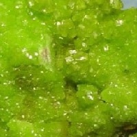 زرد سبز