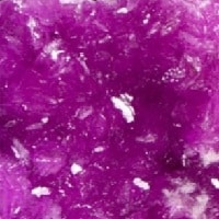 قرمز ارغوانی